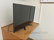 テレビ