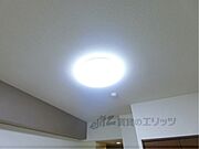 照明