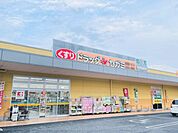 セガミ薬局　朱雀店まで1700メートル