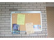掲示板