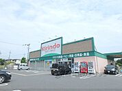 キリン堂　木幡池店まで1100メートル