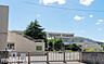 周辺：千葉市立幸町第三小学校 徒歩4分。 250m
