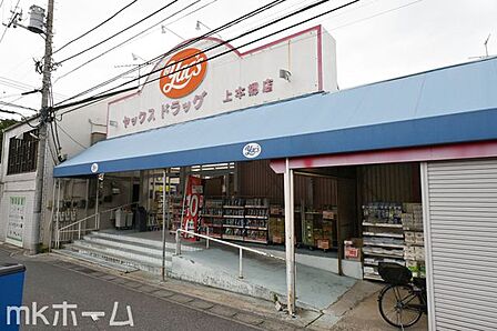 ヤックスドラッグ上本郷店 徒歩17分。 1320m