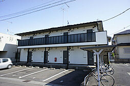 スターリーコート