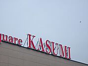 カスミフードスクエア下館南店 413m