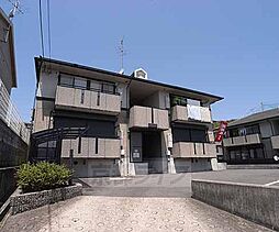 ハイカムール八科