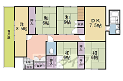 ソーム中山 1階/-
