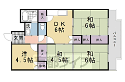 向島ニュータウン第三街区3-D棟 4DKの間取図画像