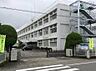 周辺：【小学校】松茂町立松茂小学校まで185ｍ