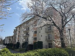 物件画像 村上団地1街区24号棟