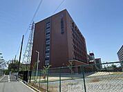 私立大阪成蹊大学 徒歩23分。 1780m