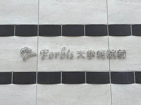 Forbis大学病院前