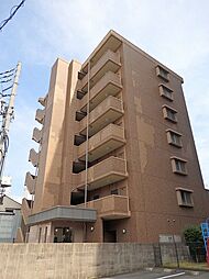 エレガンス・ＳＴ