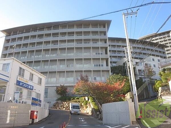 画像5:神戸海星病院 1016m