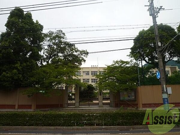 画像27:神戸市立雲中小学校 273m