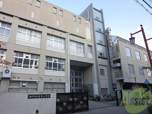 画像27:神戸市立成徳小学校 284m