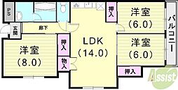 シャルマンコーポ御影2号棟 4階