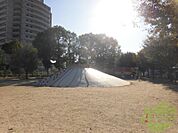 福井池公園 300m