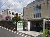 神戸市立住吉中学校 956m