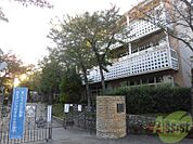 芦屋市立宮川小学校 618m