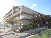 神戸市立灘小学校 582m