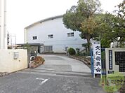 芦屋市立精道中学校 224m