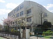 神戸市立渦が森小学校 114m