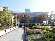 芦屋市役所 1571m