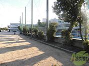芦屋市立打出浜小学校 773m