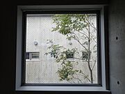 窓の景色が美しい。