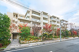 物件画像 世田谷喜多見ザ・テラス