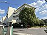 周辺：緑陽小学校 600m