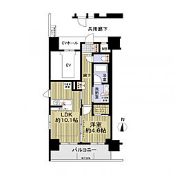 プレサンスロジェ丸の内ＣＥＮＴＲＡＬ　ＣＡＳＡ 1LDKの間取り