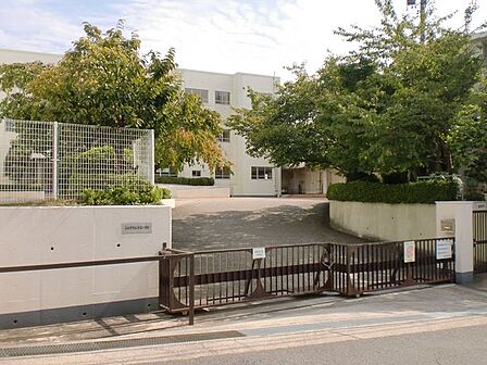 弥富小学校 430m
