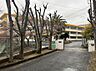 周辺：北九州市立若園小学校（509m）