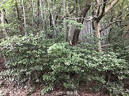 物件画像 大字鳴水土地