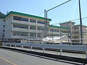 北九州市立戸ノ上中学校（500m）
