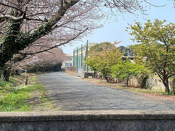 中間市立中間北...