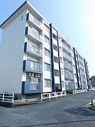 物件画像 井堀南団地3棟