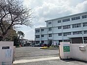北九州市立南丘小学校（599m）