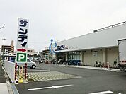 サンディ平野背戸口店 753m