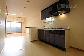 Gramercy Shirakawa Koen  ｜ 愛知県名古屋市中区栄2丁目13-21（賃貸マンション1LDK・9階・46.64㎡） その18