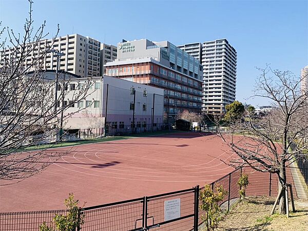 画像24:荒川区立汐入東小学校（450m）