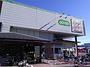 コープみらい亀有店（377m）