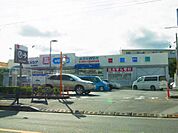 ウエルシア足立島根店（246m）