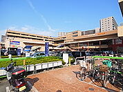 フレスポ八潮（424m）