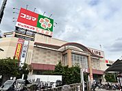 ライフ 江北駅前店（426m）