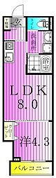 葛飾区新宿5丁目アパート 1LDKの間取図画像
