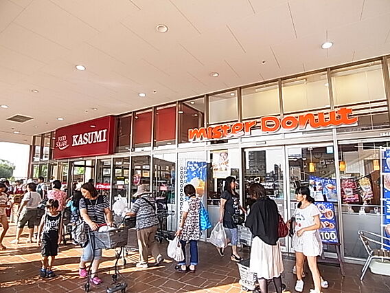 アヴァンス八潮B_周辺_1