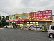 どらっぐぱぱす 西新井5丁目店（1035m）
